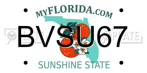 BVSU67 Florida License Plate