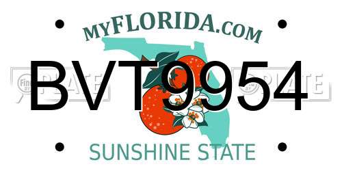 BVT9954 Florida License Plate