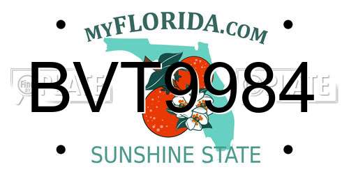 BVT9984 Florida License Plate