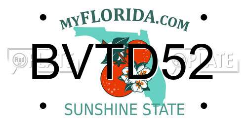 BVTD52 Florida License Plate