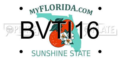 BVTI16 Florida License Plate
