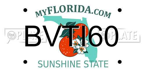 BVTI60 Florida License Plate