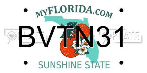 BVTN31 Florida License Plate