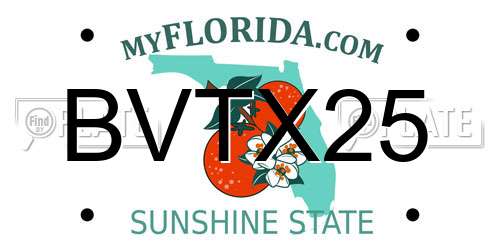 BVTX25 Florida License Plate