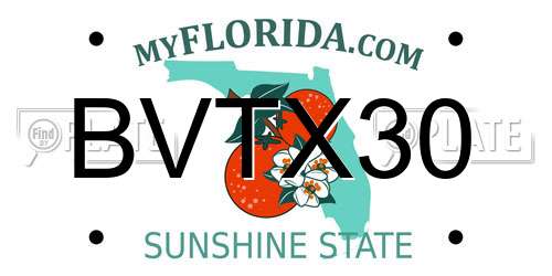 BVTX30 Florida License Plate