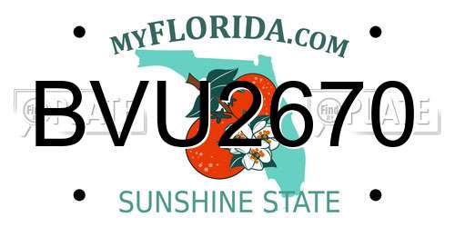 BVU2670 Florida License Plate
