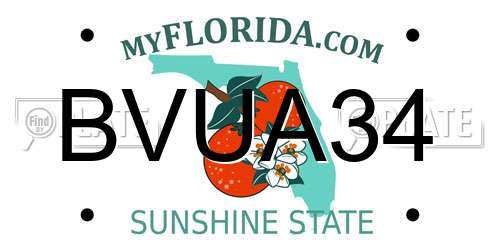 BVUA34 Florida License Plate