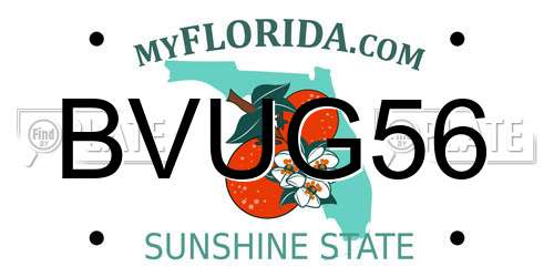 BVUG56 Florida License Plate
