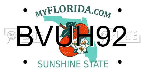 BVUH92 Florida License Plate