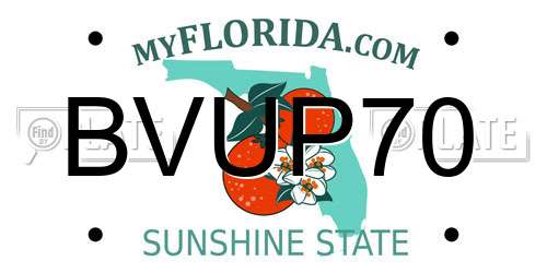 BVUP70 Florida License Plate