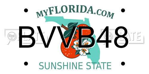 BVVB48 Florida License Plate