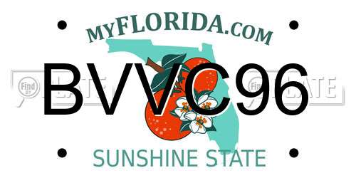 BVVC96 Florida License Plate