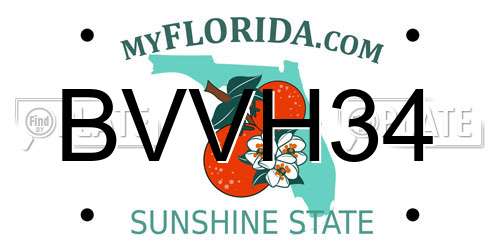 BVVH34 Florida License Plate