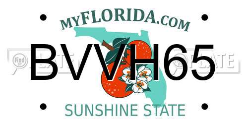 BVVH65 Florida License Plate