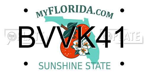 BVVK41 Florida License Plate