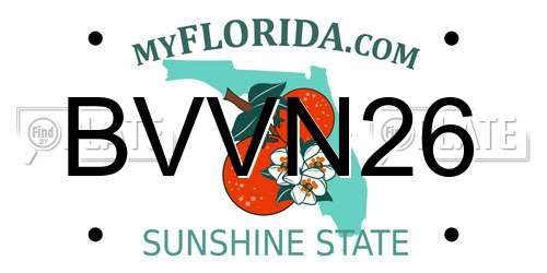 BVVN26 Florida License Plate