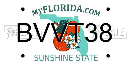 BVVT38 Florida License Plate