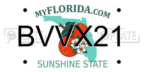 BVVX21 Florida License Plate