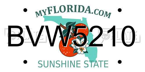 BVW5210 Florida License Plate