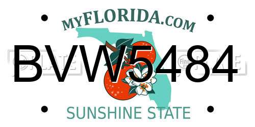 BVW5484 Florida License Plate