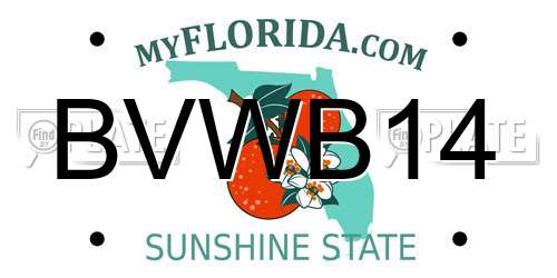 BVWB14 Florida License Plate