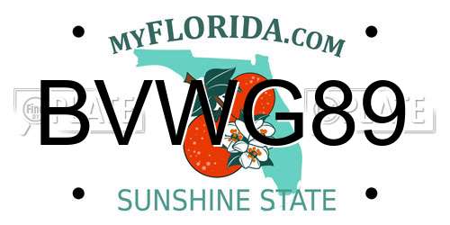 BVWG89 Florida License Plate
