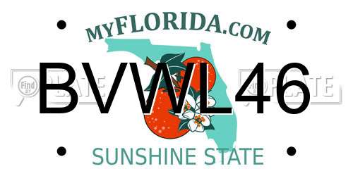 BVWL46 Florida License Plate