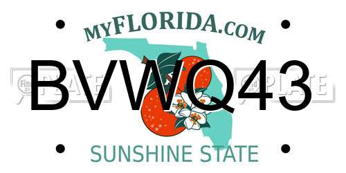 BVWQ43 Florida License Plate