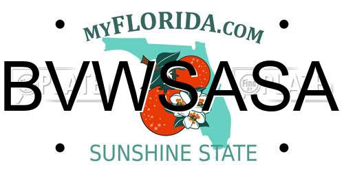 BVWSASA Florida License Plate