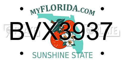 BVX3937 Florida License Plate