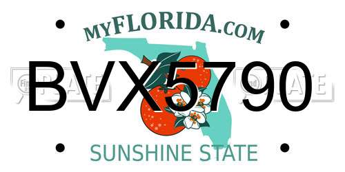BVX5790 Florida License Plate
