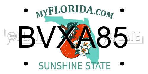 BVXA85 Florida License Plate