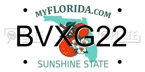 BVXG22 Florida License Plate