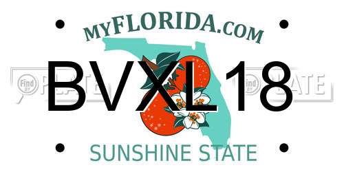 BVXL18 Florida License Plate