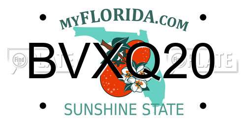 BVXQ20 Florida License Plate