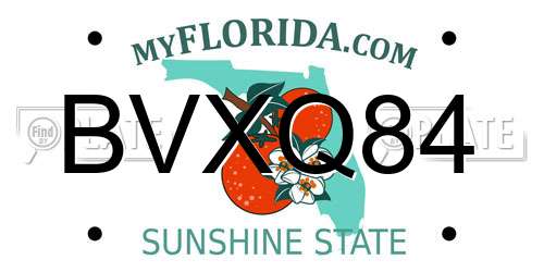 BVXQ84 Florida License Plate