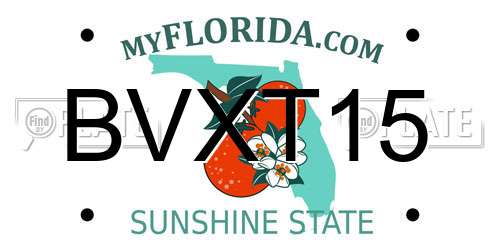 BVXT15 Florida License Plate