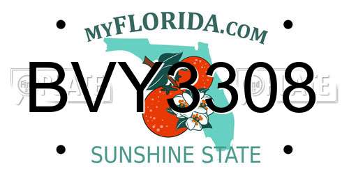 BVY3308 Florida License Plate
