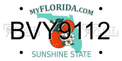 BVY9112 Florida License Plate