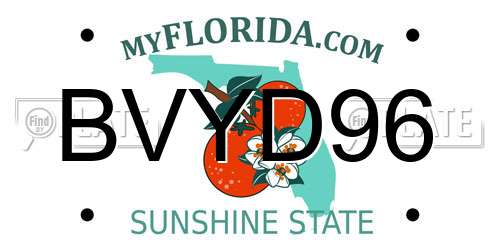 BVYD96 Florida License Plate