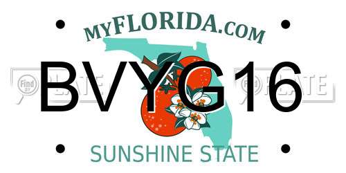 BVYG16 Florida License Plate