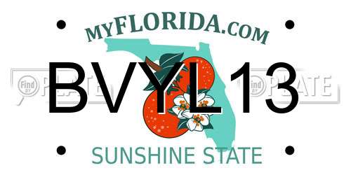 BVYL13 Florida License Plate