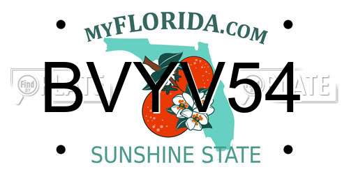 BVYV54 Florida License Plate