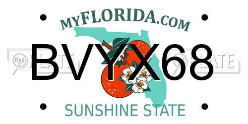 BVYX68 Florida License Plate