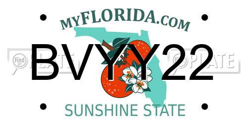 BVYY22 Florida License Plate