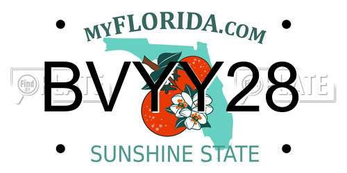 BVYY28 Florida License Plate