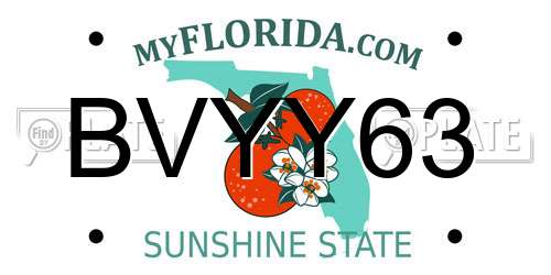 BVYY63 Florida License Plate