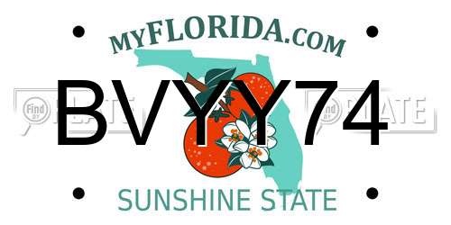 BVYY74 Florida License Plate