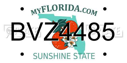 BVZ4485 Florida License Plate