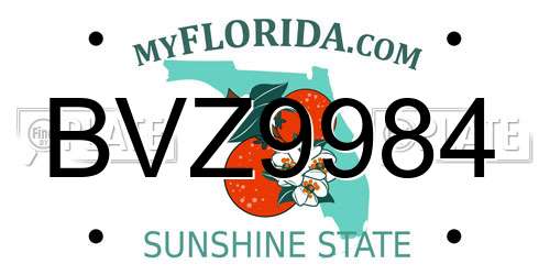 BVZ9984 Florida License Plate